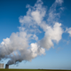 Illustration for article titled Black Carbon Pollution Has Been Found Inside Womens Placentas